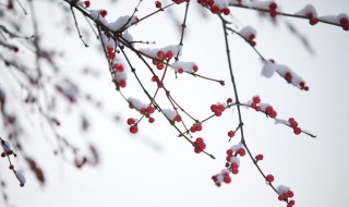 发抖音雪景的句子 抖音雪后美景的句子