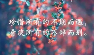 心累的經(jīng)典說說心情句子（心累的句子說說心情短語）