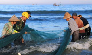 如何挑選鮮活魚 怎么挑選新鮮魚