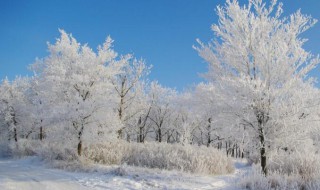 适合初雪发的文案（初雪发什么文案）