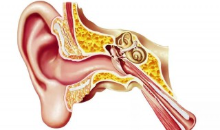 耳屎掏不出來怎么辦（耳朵里面硬硬的耳屎掏不出來怎么辦）
