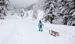 形容雪花味道的句子 有關(guān)于雪花的句子