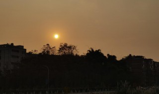 久违的太阳的心情说说（久违的太阳的心情说说图片）