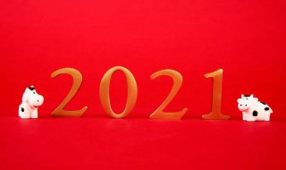 告别2020迎接2021感悟 告别2020迎接2021感悟图片