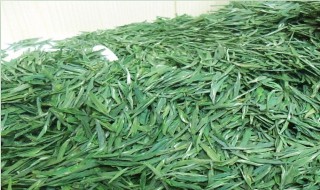 恩施綠茶功效（恩施的綠茶）