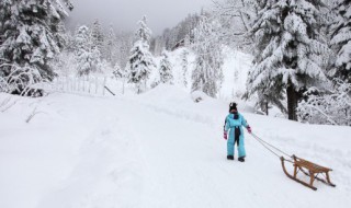 雪像什么 雪像什么像什么像什么造句