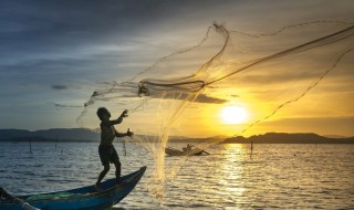 撒網(wǎng)油網(wǎng)幾天干（撒網(wǎng)油好了怎樣曬干）