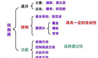 怎么区别选择透过性和流动性（如何区分选择透过性和流动性）