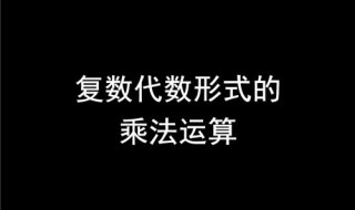 代数式的定义（代数式的定义例子）