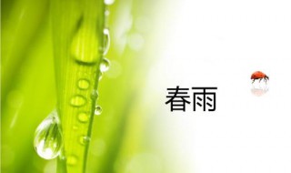 什么的春雨 什么的春雨像什么的比喻句