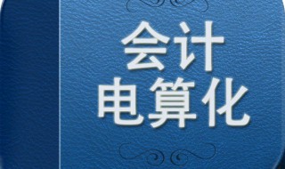 會計電算化崗位及其權(quán)限設(shè)置的基本要求是什么? 會計電算化崗位設(shè)置