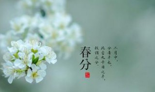 驚蟄后面是什么節(jié)氣 驚蟄前后是什么節(jié)氣