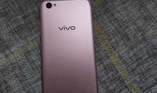 vivox9和vivox9plus手機(jī)殼通用嗎