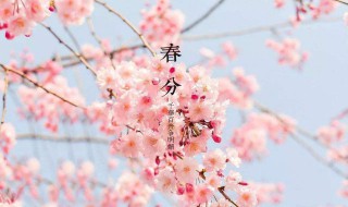 春分下雨還會冷嗎 春分過了還會冷嗎