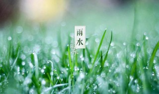 雨水經(jīng)典祝福語（雨水祝福短句）