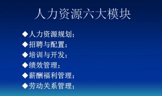 人力资源六大模块是什么（人力资源六大模块是什么意思）