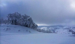 北国风光千里雪飘全诗（北国风光千里雪飘全诗什么意思）