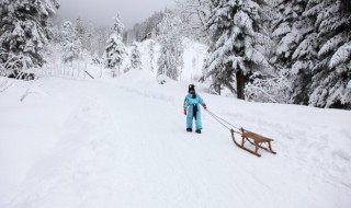 冬天拍雪景教程（冬天拍雪景教程视频）