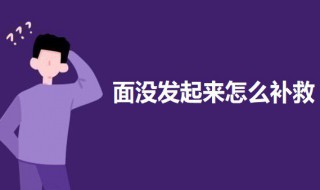 面没发起来怎么补救（面没发起来可以做什么）