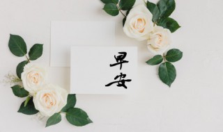 2021早安心語(yǔ)勵(lì)志的唯美語(yǔ)句 2021早安心語(yǔ)正能量勵(lì)志句子