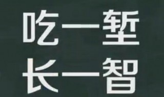 吃一堑长一智相似谚语 和吃一堑长一智相似的词语