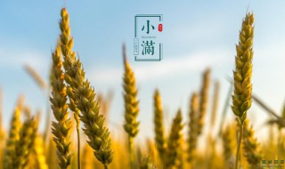 小滿節(jié)氣說說精選 小滿節(jié)氣的說說