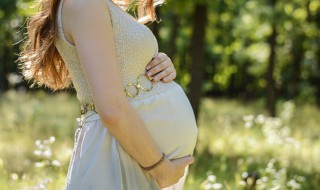 孕妇梦见鳄鱼 孕妇梦见鳄鱼生男生女