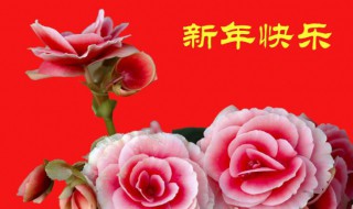 新年祝福老师的祝福（新年祝福老师的祝福语的话）