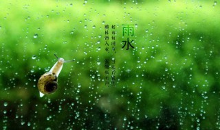 雨水節(jié)氣應該吃什么（雨水節(jié)氣應該吃什么蔬菜）