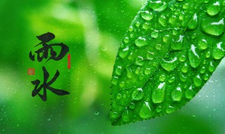 表示雨水節(jié)氣古詩詞 雨水節(jié)氣古詩詞有哪些