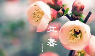 立春創(chuàng)意祝福文案（立春創(chuàng)意祝福文案圖片）