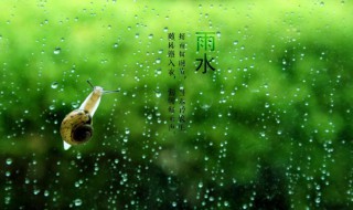 描寫雨水節(jié)氣的唯美句子（描寫雨水節(jié)氣的唯美句子有哪些）