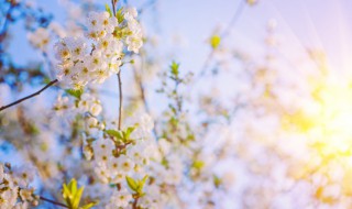 立春朋友圈祝福语句子（立春朋友圈祝福语句子简短）