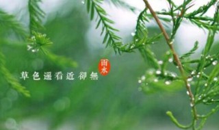 2021年雨水節(jié)氣下雨有什么說法（2021年幾月份有雨）