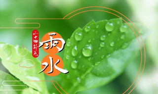 二十四节气雨水食谱 二十四节气雨水时吃什么