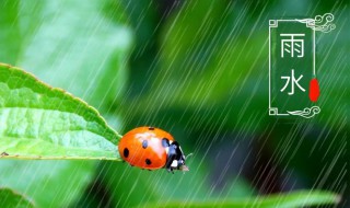 关于二十四节气雨水的古诗 雨水的古诗有哪些