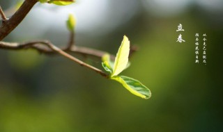 24节气立春的传统风俗（各地立春的风俗）