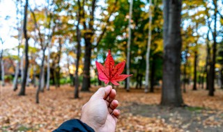 秋風(fēng)微涼的朋友圈句子 秋風(fēng)涼的句子朋友圈轉(zhuǎn)發(fā)