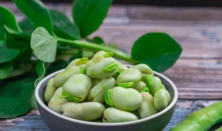 蠶豆是什么植物 蠶豆是什么植物的果實