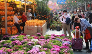 迎春花怕冻吗（迎春花冬天在外面怕冻吗）