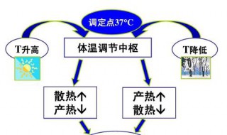 舉例說(shuō)明控制中的反饋措施（反饋控制應(yīng)用實(shí)例）