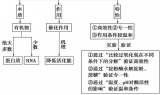 化学反应的基本类型有哪些（化学反应的基本类型有哪些方法）