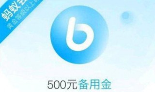 支付寶備用金100元的額度（支付寶備用金100元的額度圖片）