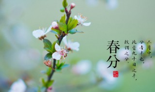 春分节气是怎么来的（介绍一下春分节气）