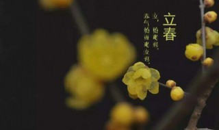 立春代表什么数字（日历中的立春是什么意思）