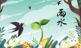 有关雨水节气谚语（雨水节气谚语及含义）