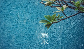 2021年节气雨水表示什么含义（2021年雨水节气具体时间）