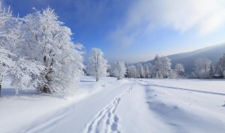 冬天除雪的五种方法 冬天除雪的五种方法是什么