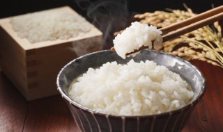 老式电饭锅做饭方法（老式电饭锅做饭方法大全）