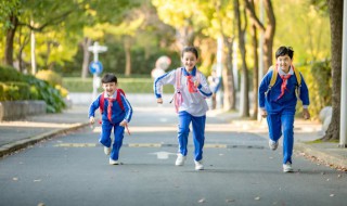 小学生政治面貌怎么填 小学生政治面貌怎么填写才正确